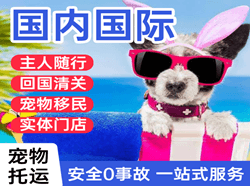昆明长水机场快递国际宠物托运 【国